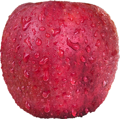 圖層 11 拷貝 2.png