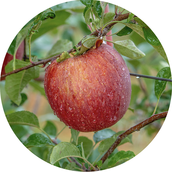 ae19b67e51a44c47c487e5cacc20adf 拷貝.png