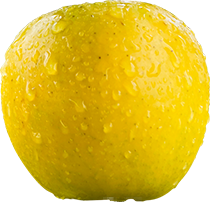 fruit_img5.png